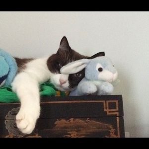 Meet your Posher, April